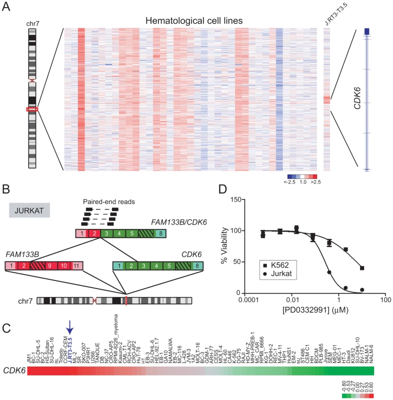 Identification and characterization of <i>FAM133B/CDK6</i> in J.RT3-T3.5.