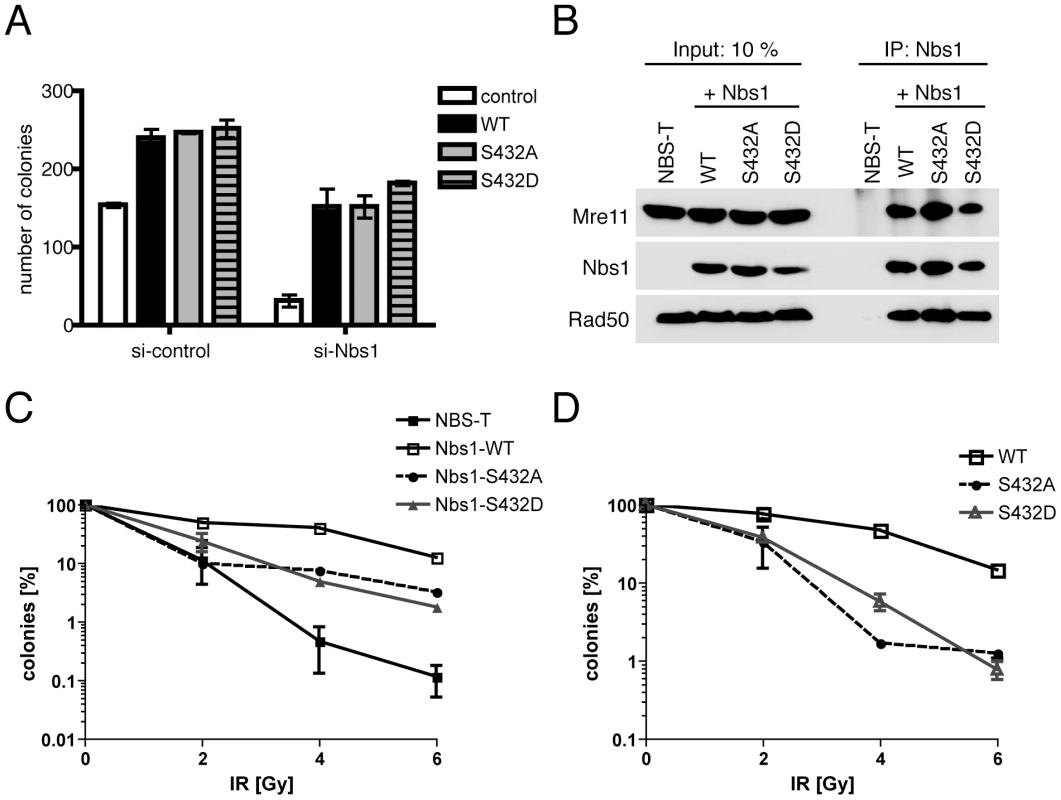 Nbs1-Ser432 is required for normal X-ray resistance but not viability.