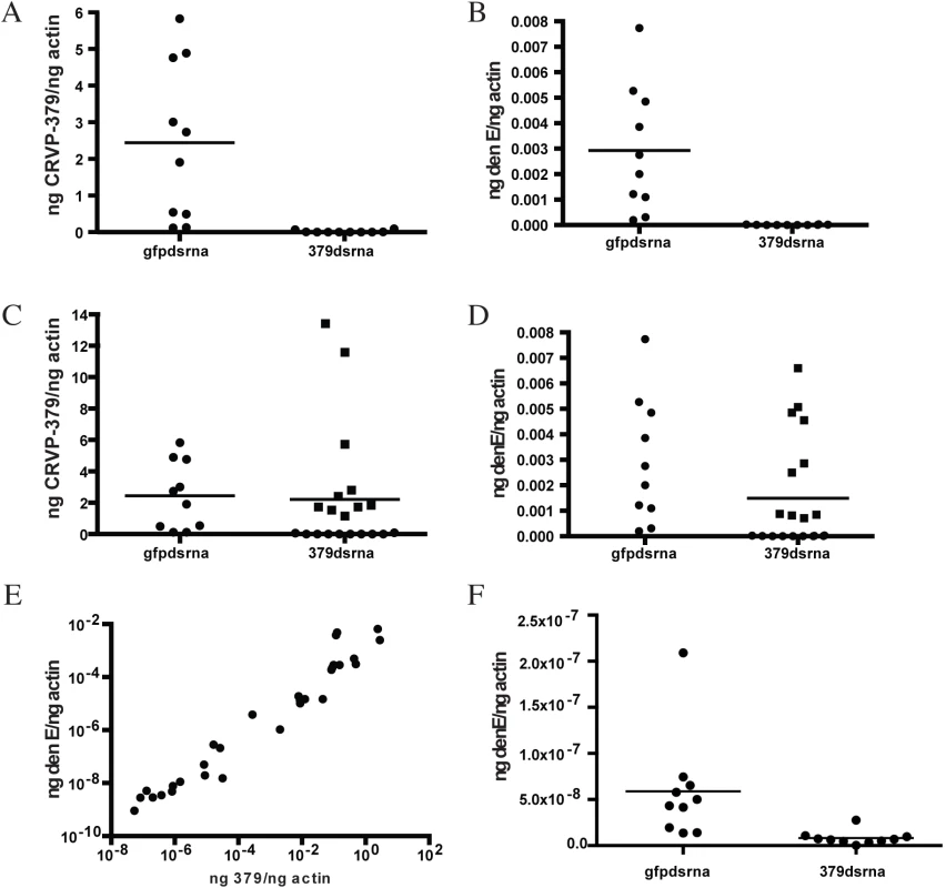 Silencing CRVP379 inhibits DENV acquisition in live mosquitoes.