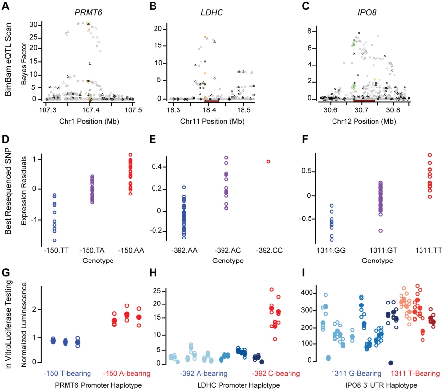Fine-mapping functional results.