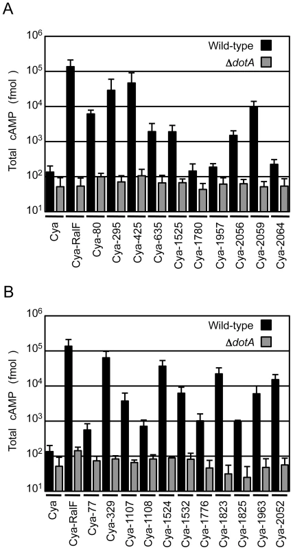 Dot/Icm-dependent translocation of <i>C. burnetii</i> proteins by <i>L. pneumophila</i>.