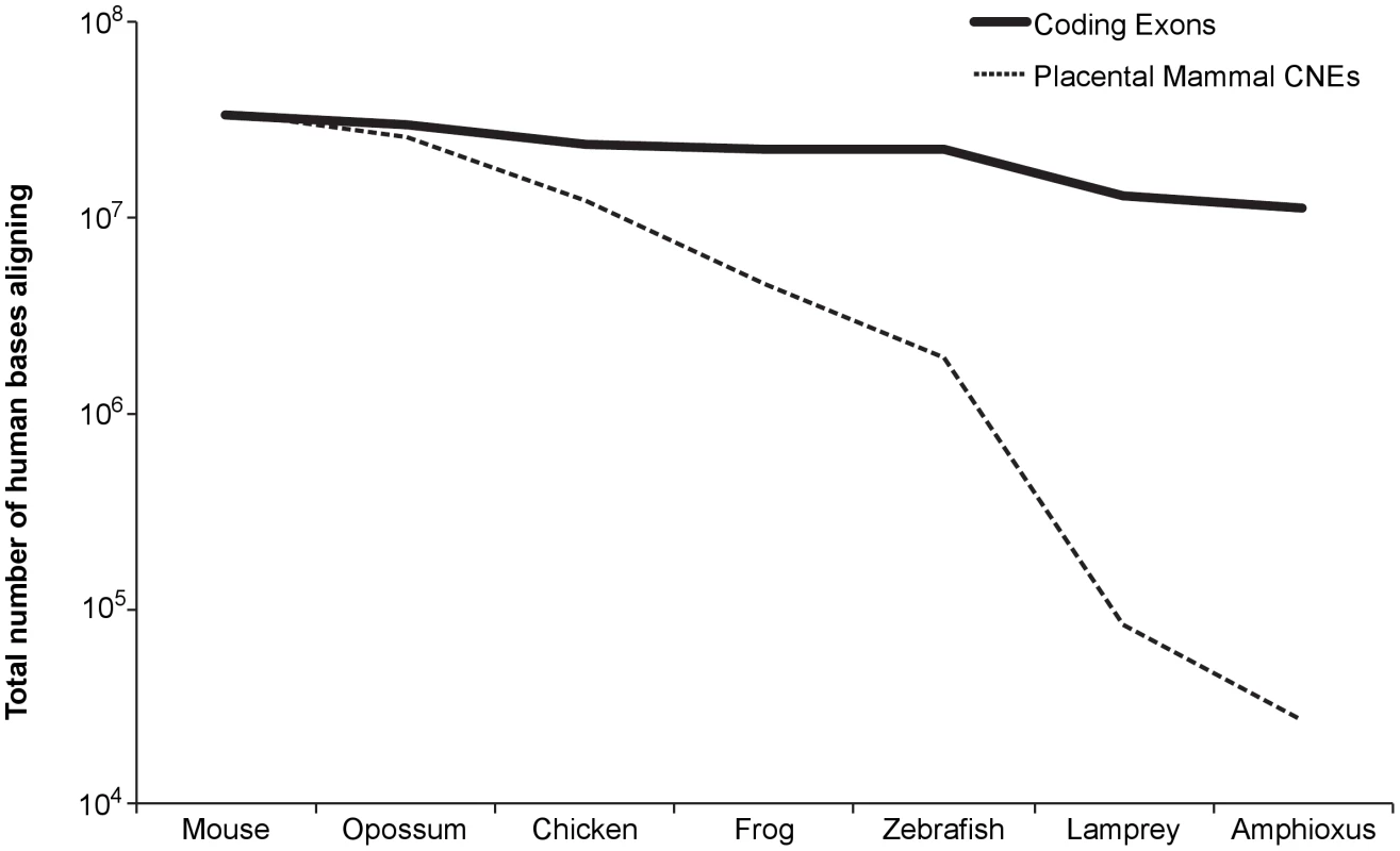 Total number of bases (coding versus conserved non-coding) in human that align to each species.