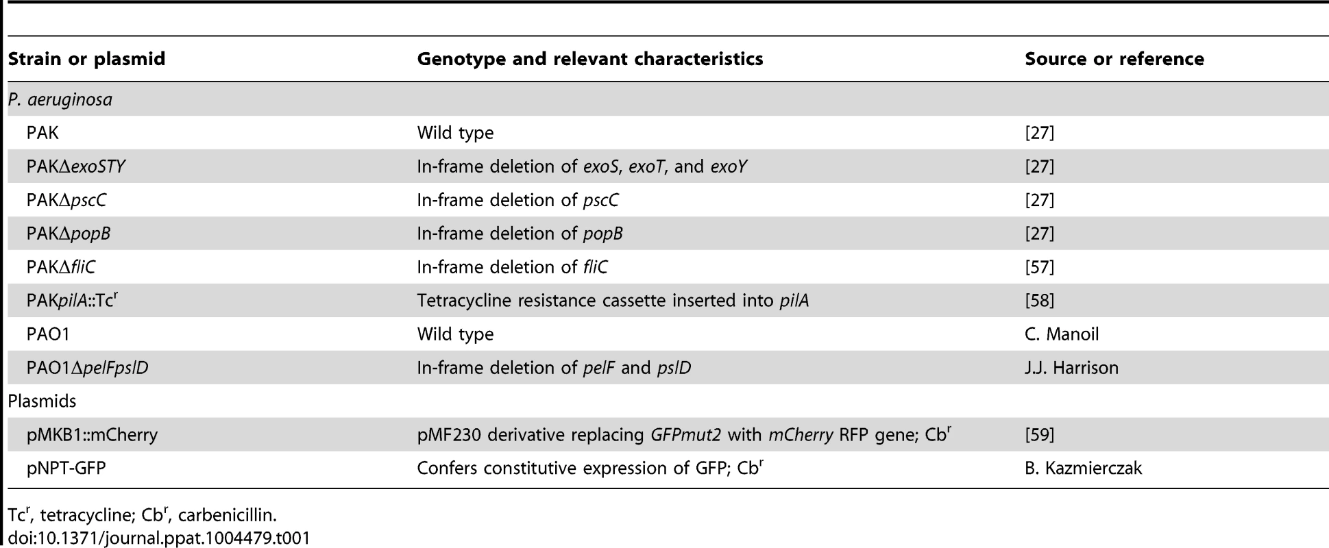 Strains and plasmids used in this study.