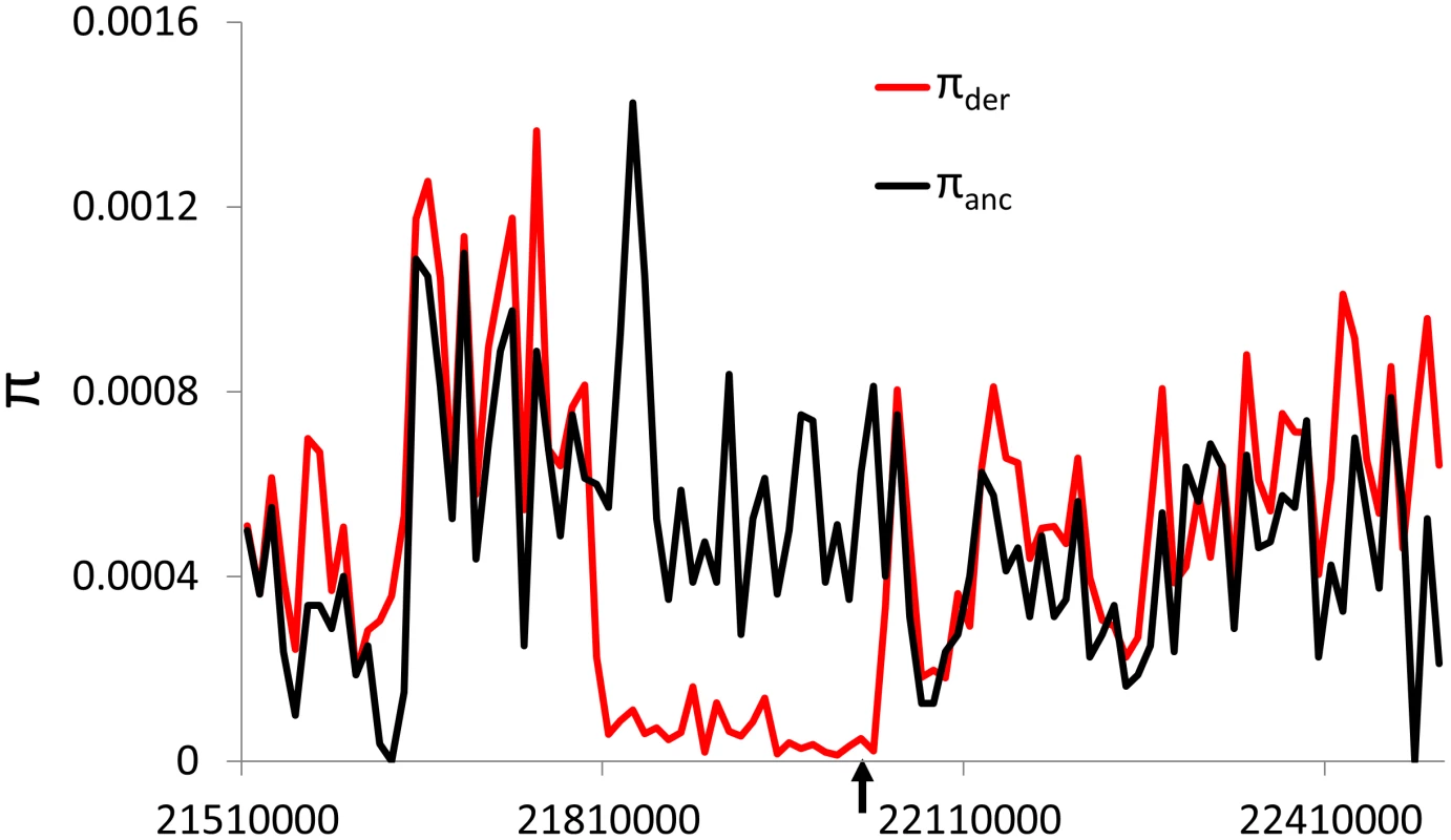 Reduced nucleotide diversity on chromosome 18 among chromosomes containing the <i>DHFR</i> retroCNV in CEU.