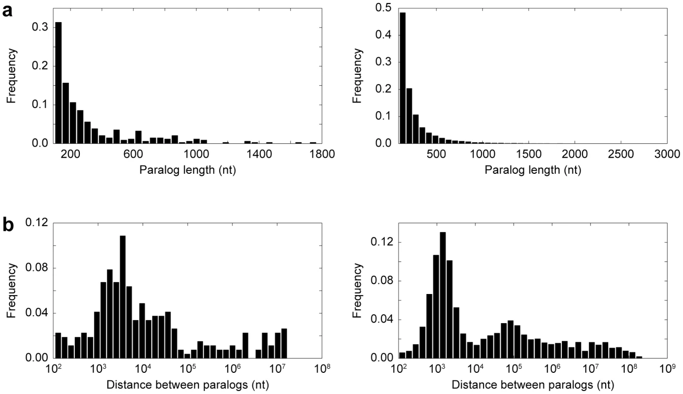 Properties of paralogs.