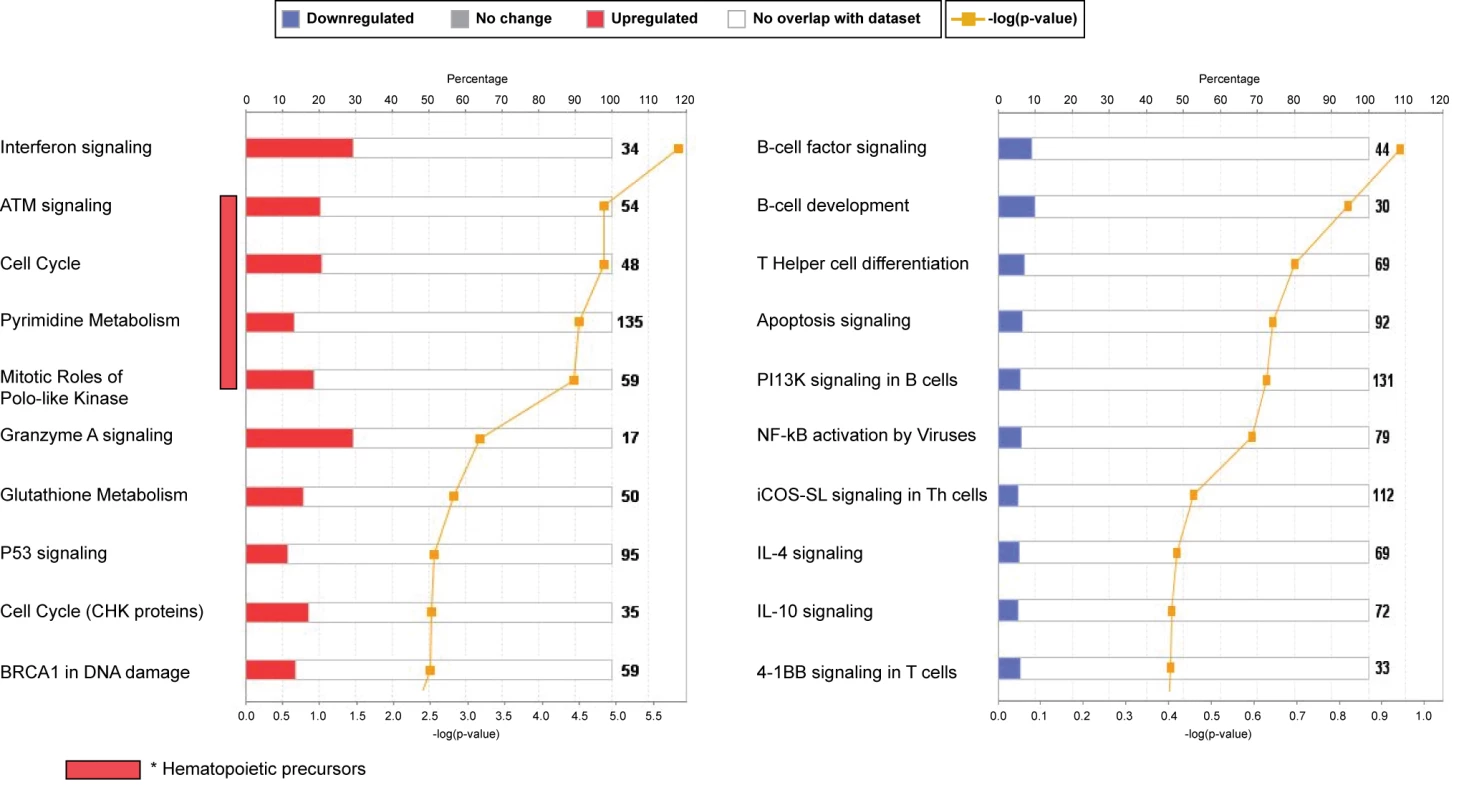 Top canonical pathways expressed in children with RSV LRTI.