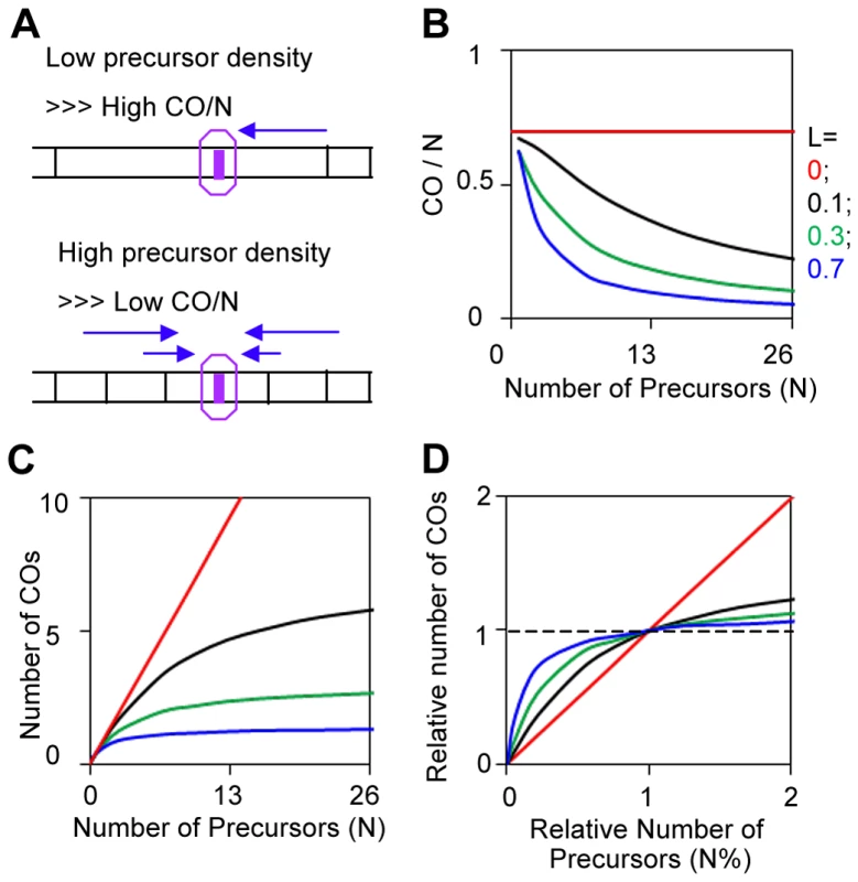CO homeostasis and quantification by BF simulations.
