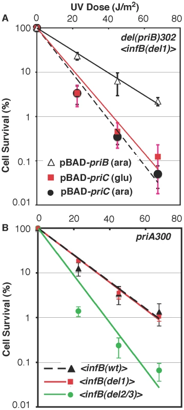 Epistasis analysis of <i>infB</i> alleles with <i>del(priB)302</i> and <i>priA300</i>.
