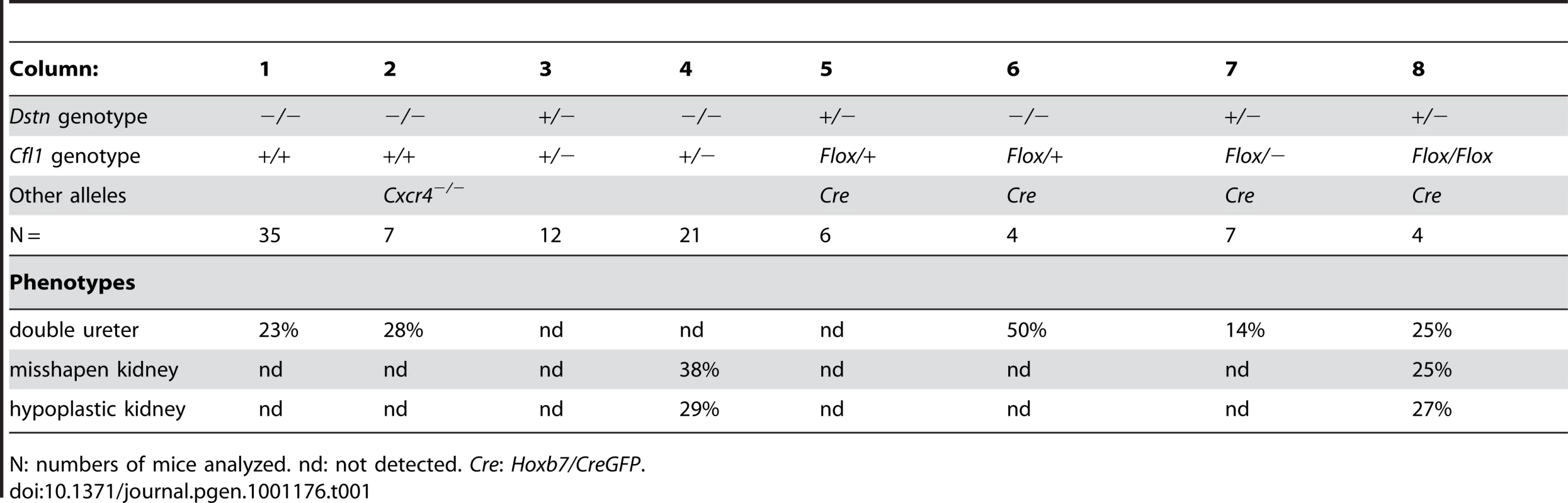 Frequency of ureter and kidney defects in mice with two or three mutant alleles.