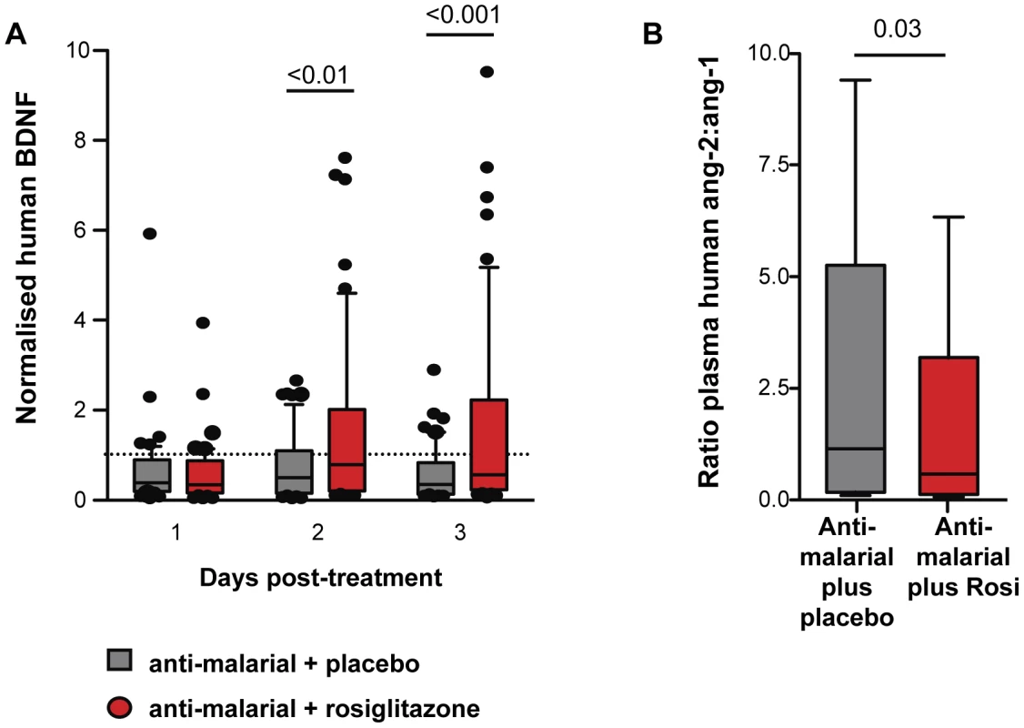 Rosiglitazone adjunctive therapy increased BDNF and lowered the angiopoietin-2:angiopoietin-1 ratio in patient with falciparum malaria.