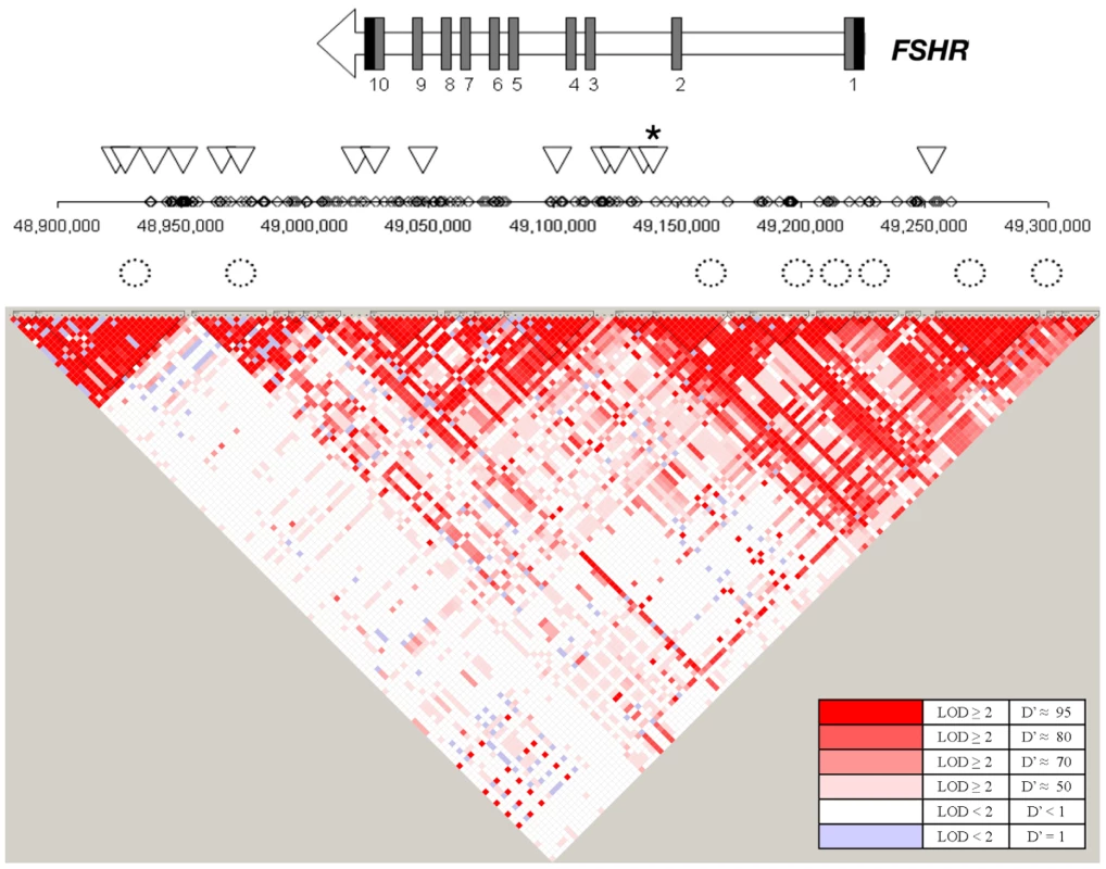 Overview of the SNPs tested in the <i>FSHR</i> gene region.