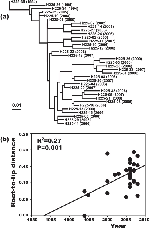 Increase of DNA sequence variation over the sampling time interval.