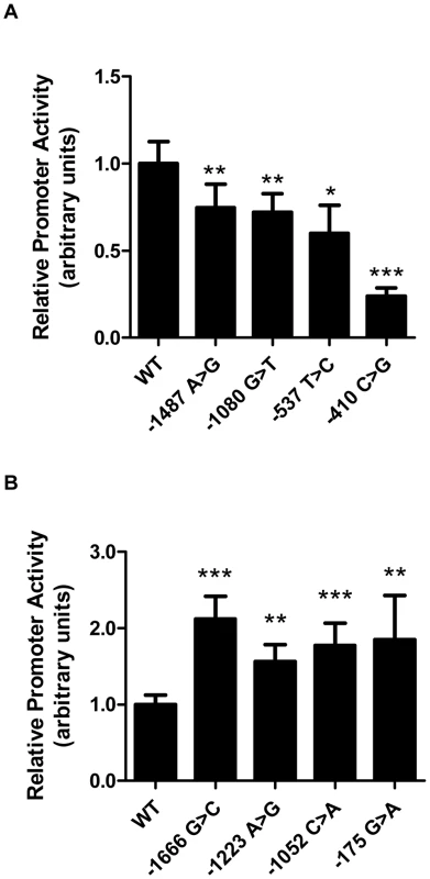 Rare <i>LIPG</i> regulatory variants modulate transcriptional activity <i>in vitro</i>.