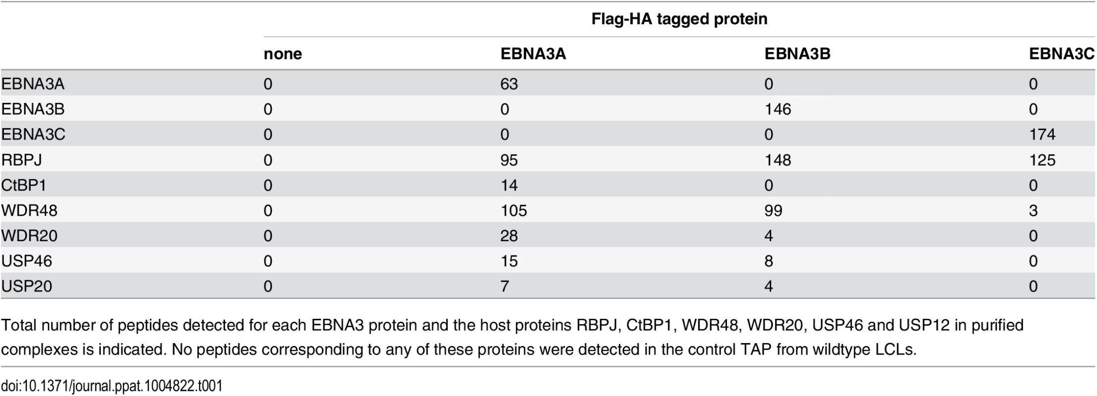 Summary of peptides identified by mass spec of tandem affinity purifications (TAP).