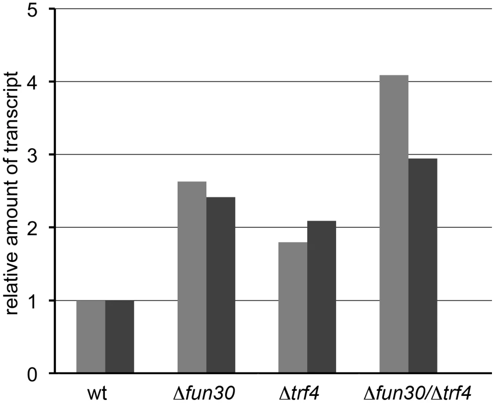 Loss of Fun30 leads to increased Transcription at centromere regions.