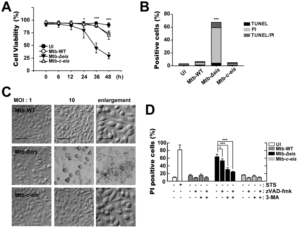Macrophages infected with Mtb-<i>Δeis</i> show reduced cell viability and increased caspase-independent cell death.