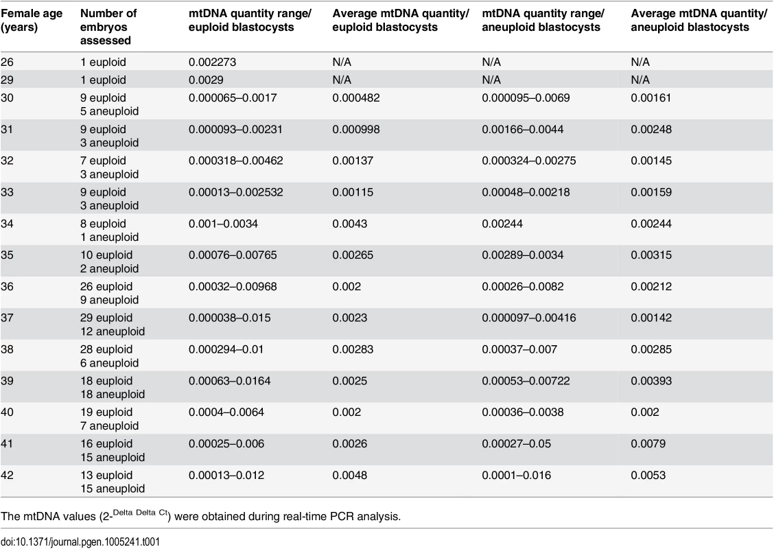 The average relative quantities of mtDNA observed in association to female age and blastocyst chromosome status.