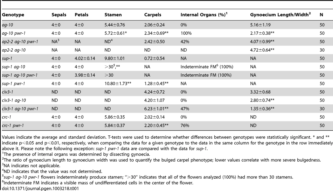 Floral organ counting and analysis of bulged carpel phenotypes.