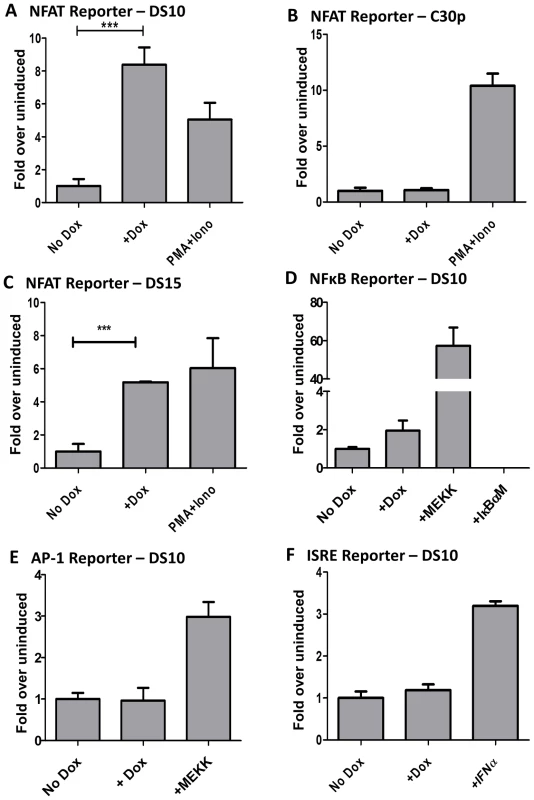 M2 activates the NFAT pathway, but not other major signaling pathways such as NFkB, ISRE, or AP-1.