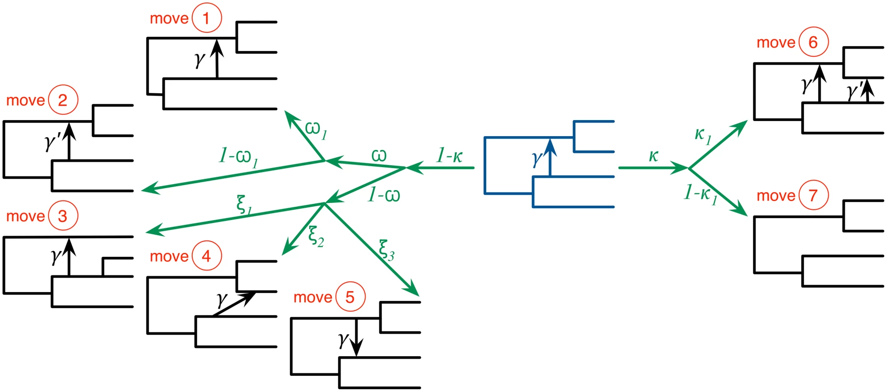 The seven moves that the MCMC sampler utilizes can be classified into ones that do not modify the topology of the phylogenetic network (moves 1 and 2), ones that modify the topology but do not change the model’s dimensions (moves 3, 4, and 5), and ones that modify the topology and model’s dimensions (moves 6 and 7).