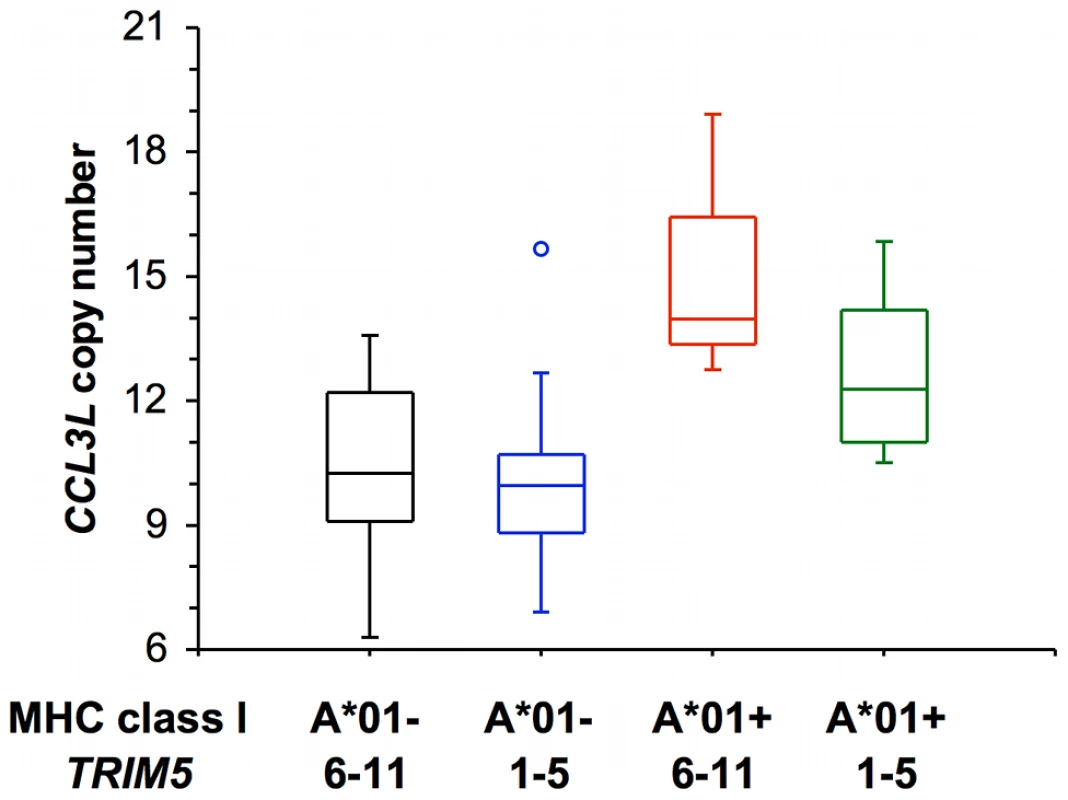Distribution of <i>CCL3L</i> copy number in a cohort of Indian-rhesus monkeys.