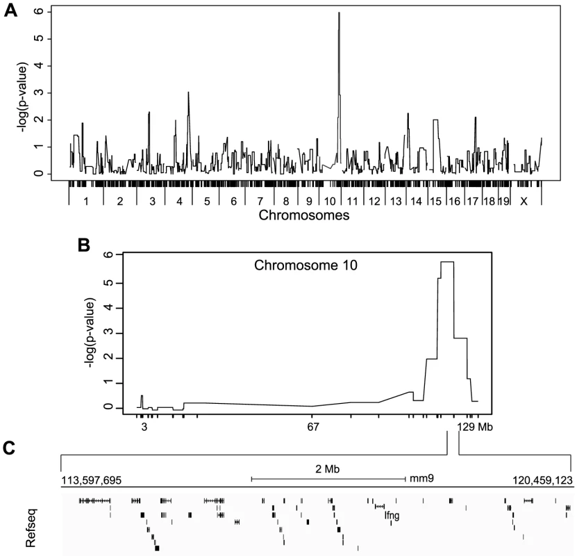 Mapping of IFNγ production by NK cells reveals a single locus on chromosome 10.