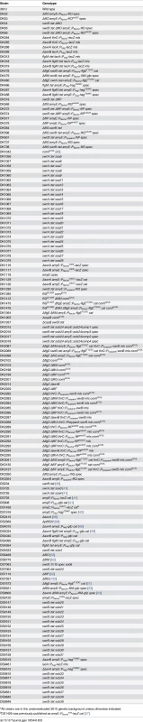 Strains<em class="ref"><sup>a</sup></em>.
