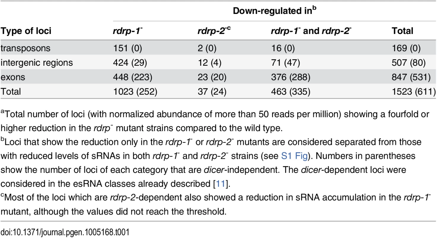 Number of loci down-regulated at sRNA level in <i>rdrp-1</i><sup>-</sup> and <i>rdrp-2</i><sup>-</sup> mutants<em class="ref"><sup>a</sup></em>.