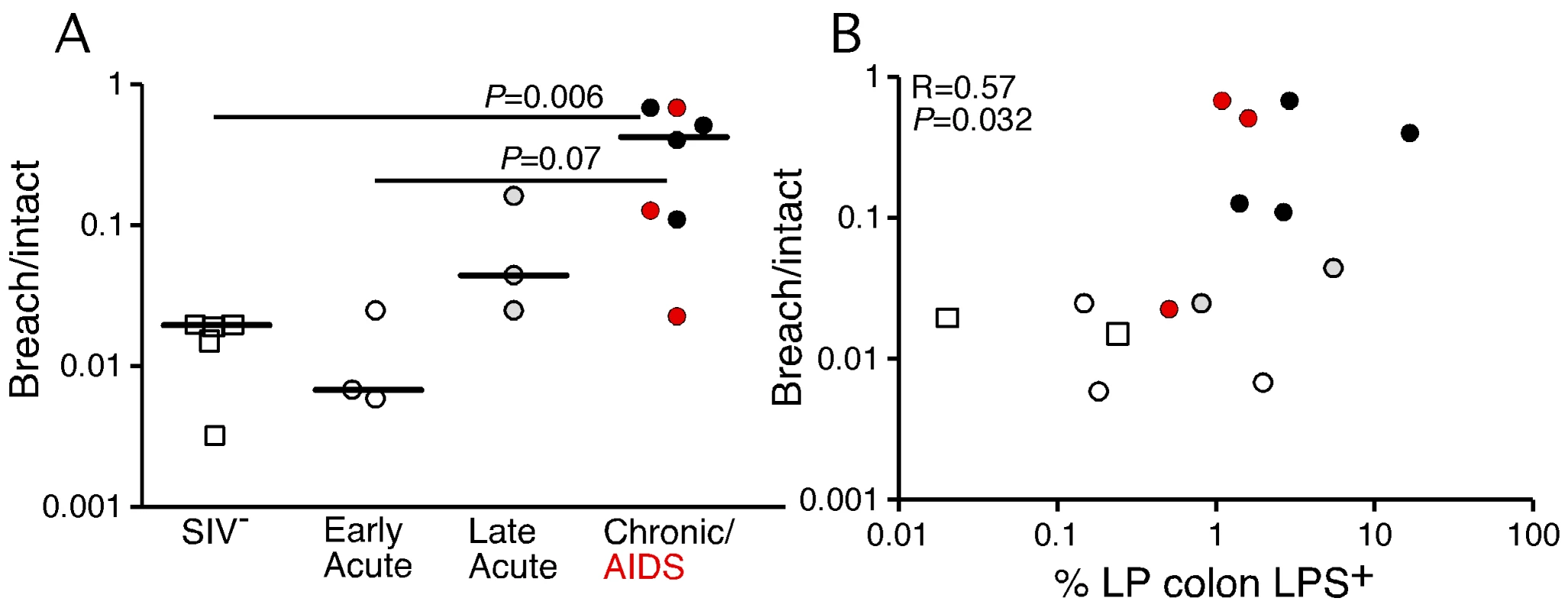 Damage to the integrity of the epithelial barrier correlates with microbial translocation.