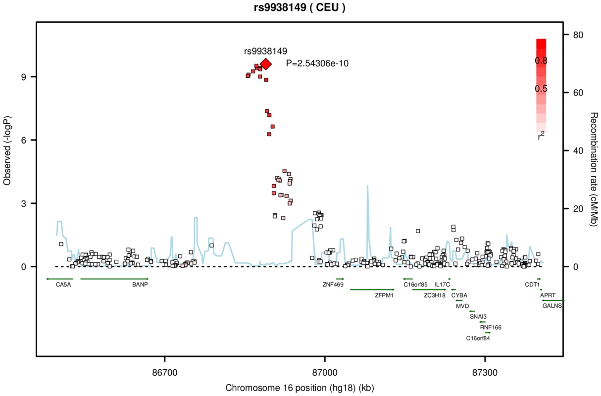 Significant association of central corneal thickness on chromosome 16 from the meta-analysis of the AU and UK twin cohorts.