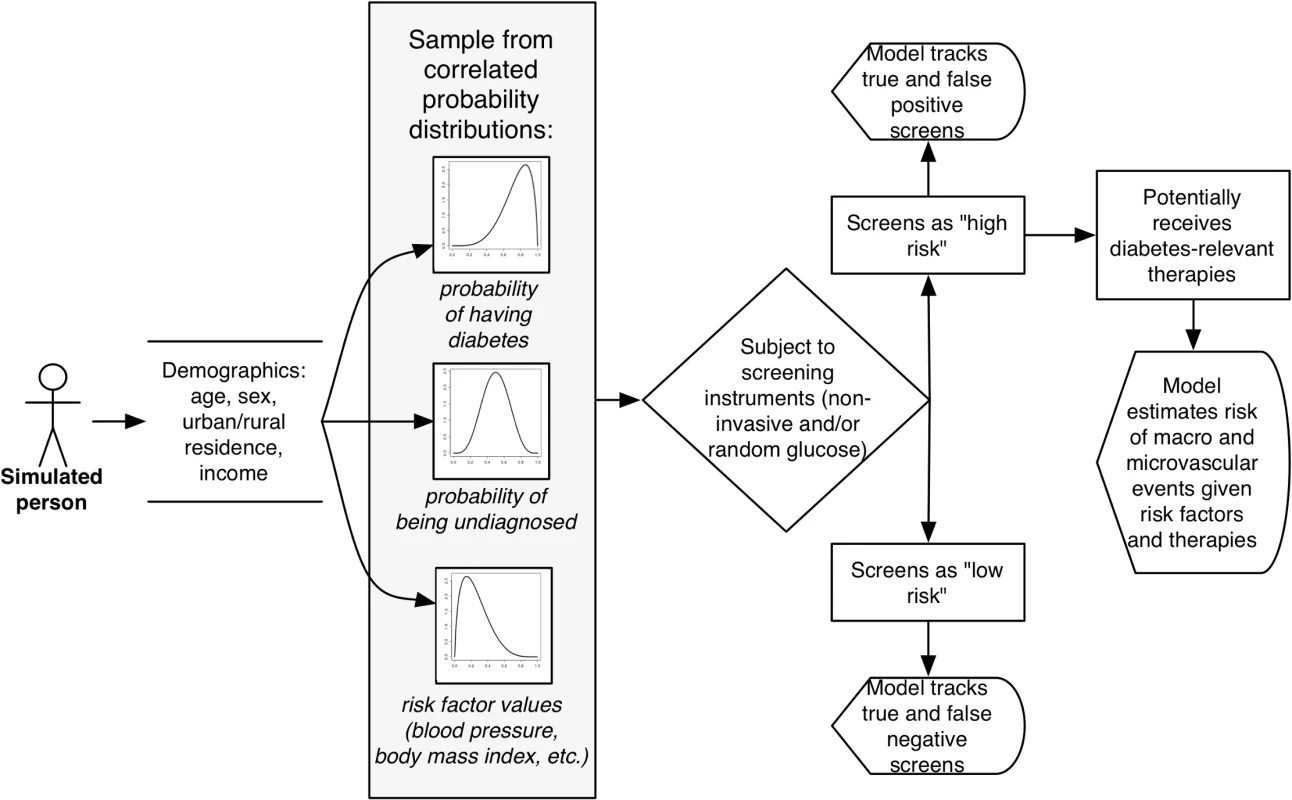 Model diagram. Individuals in the simulated population are assigned demographic characteristics based on the joint probabilities of being in each age, sex, location, and income group given population demographic estimates for India.
