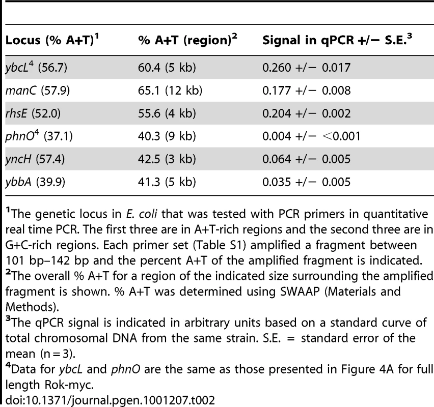 Rok preferentially binds A+T-rich DNA in <i>E. coli</i>.