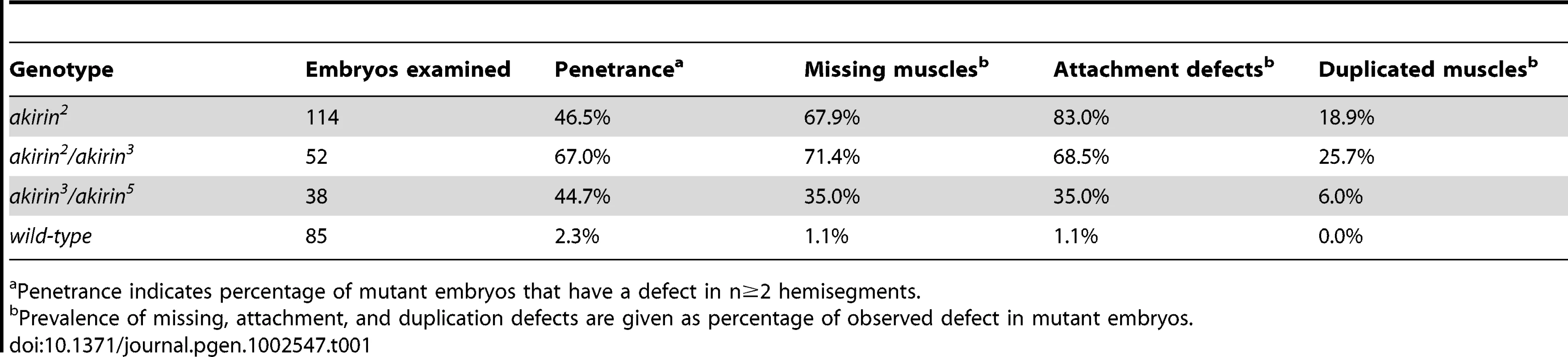 Penetrance of muscle phenotypes in <i>akirin</i> mutant embryos.