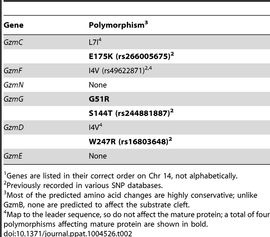 Non-synonymous polymorphisms in <i>Gzm</i> genes linked to <i>GzmB on Chr 14</i><em class="ref">1</em>.