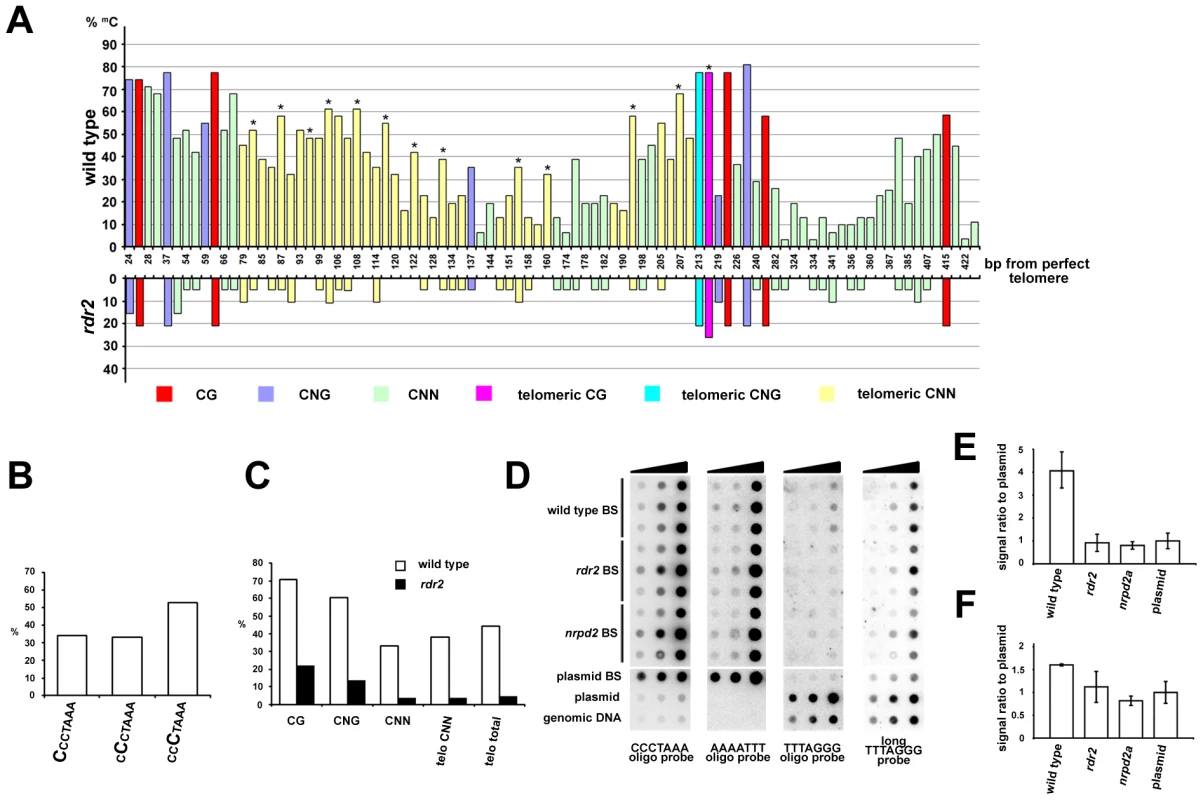Methylation of telomeric DNA in wild-type and RdDM-deficient plants.