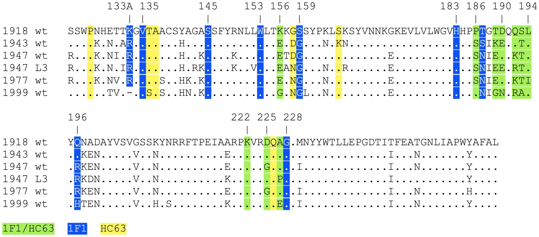 1F1 and HC63 contacts on HA.