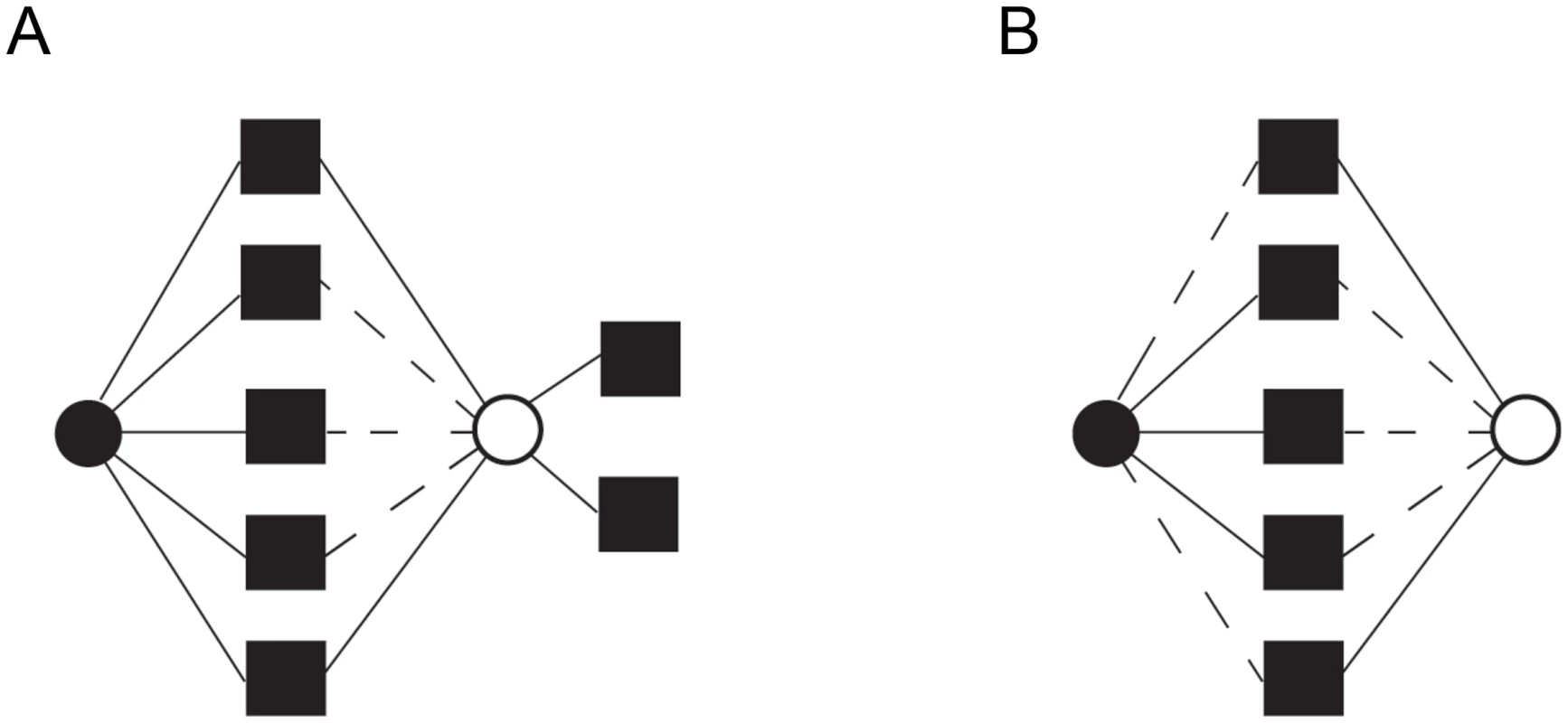 Distinct functional fates for genes duplicated by small-scale duplication (SSD) and whole-genome duplication (WGD).