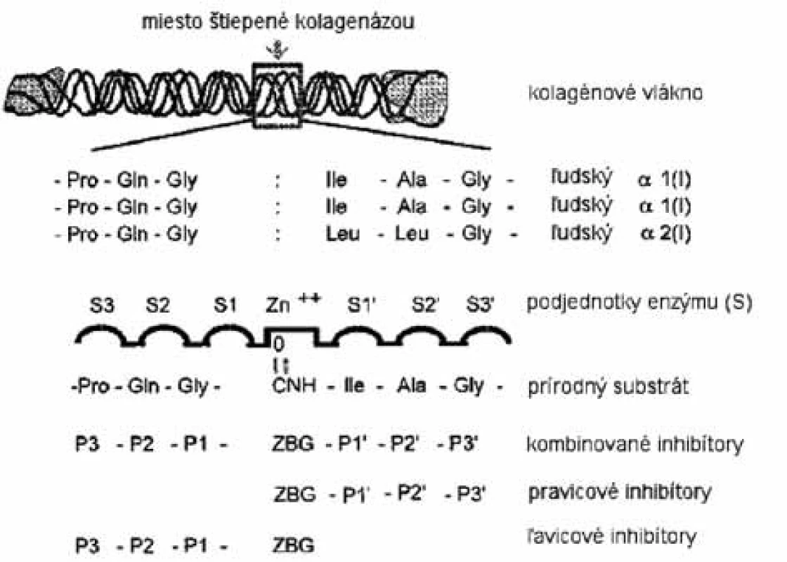 Inhibítory MMP projektované na základe natívneho susbtrátu <sup>4)</sup>