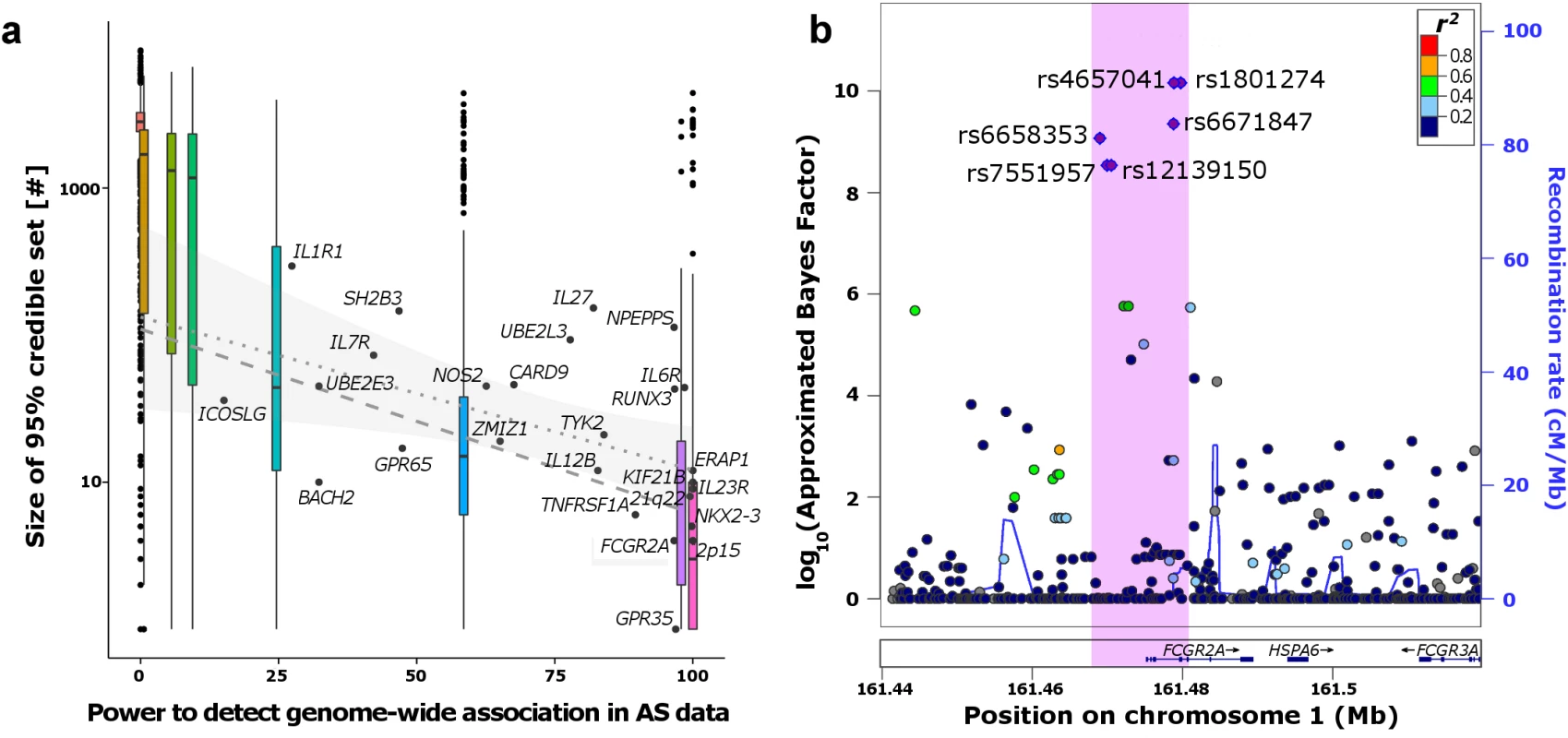 Fine-mapping the ankylosing spondylitis (AS) regions.