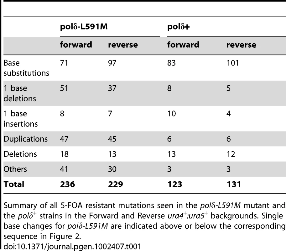 5-FOA resistant mutants from <i>polδ-L591M.</i>