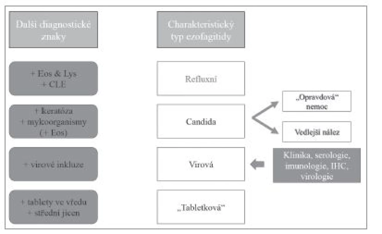 Diferenciální diagnostika ezofagitid s dominantním hnisavým typem zánětlivého infiltrátu. Eos – příměs eozinofilních granulocytů, Lys – příměs lymfocytů, CLE – kolumnární metaplázie sliznice jícnu (columnar-lined esophagus, CLE).