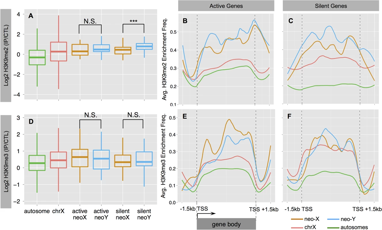 Heterochromatin evolution on the <i>D</i>. <i>busckii</i> neo-Y.