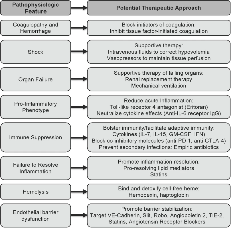 Potential approaches to sepsis caused by viral hemorrhagic fevers based on insights from classical sepsis.