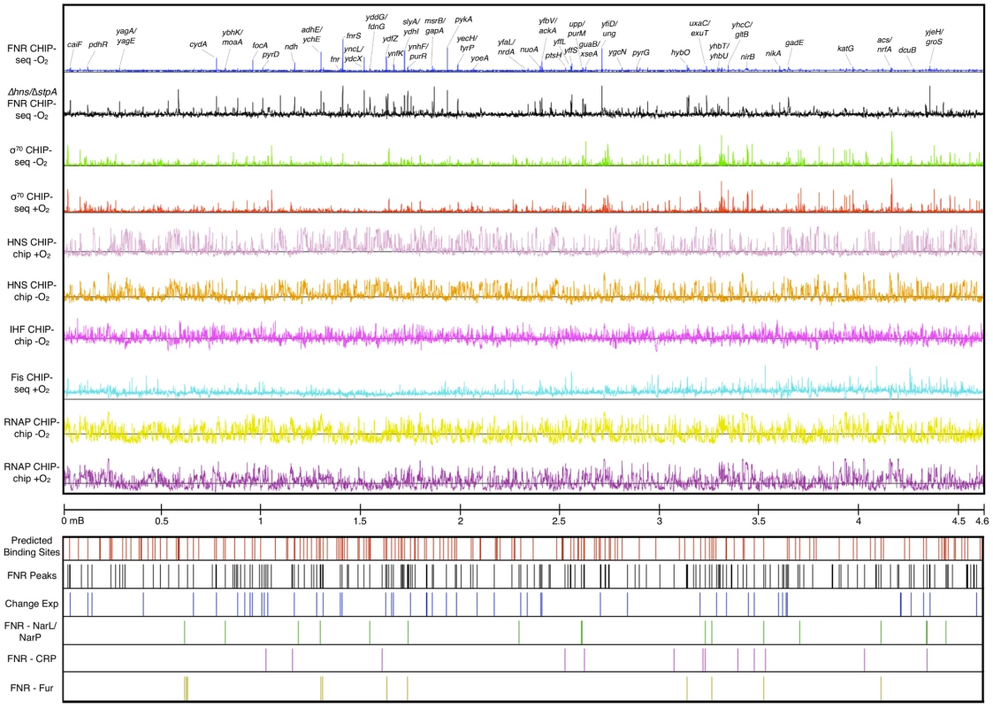 ChIP-seq and ChIP-chip data used in this study.