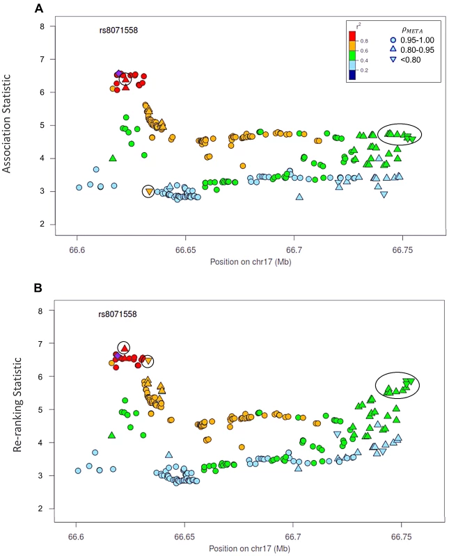 Naïve test statistics and re-ranking statistics for regions surrounding rs8071558 in the 17q24.3 region for association with prostate cancer risk.