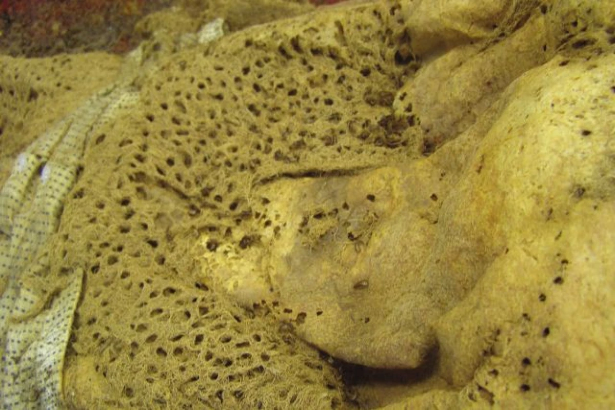 Detail „frassu“ na tûle mrtvého (Foto archiv PâR)