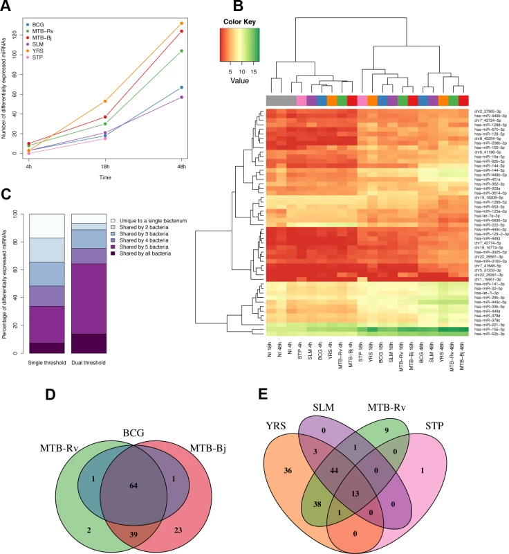 Differential expression of miRNAs in DCs upon infection with a panel of bacteria.