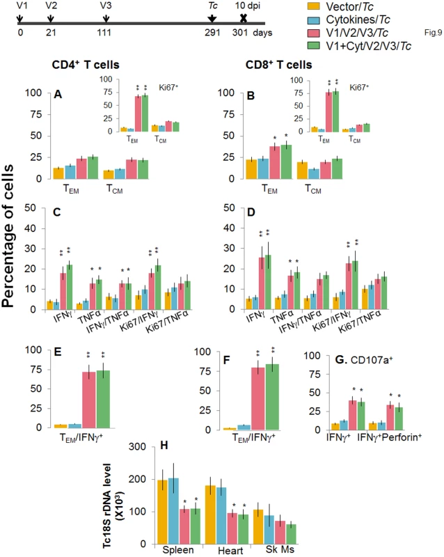 D/P vaccine/bi generated CD8<sup>+</sup> T<sub>CM</sub> cells are capable of responding to challenge infection at 180 days post bi.