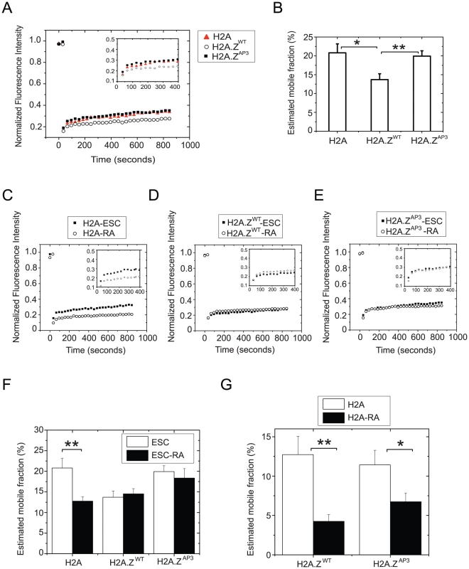 H2A.Z acidic patch influences chromatin stability and H2A.Z dynamics.