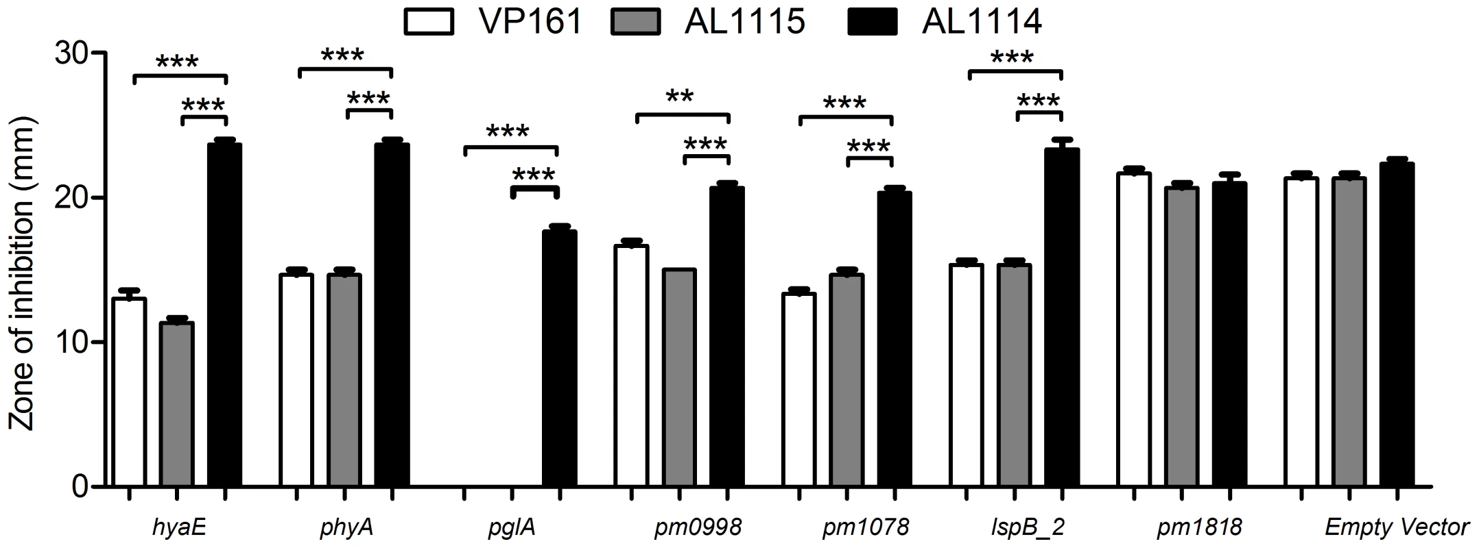 Sensitivity of <i>P. multocida</i> strains to kanamycin as determined by disc diffusion assays.